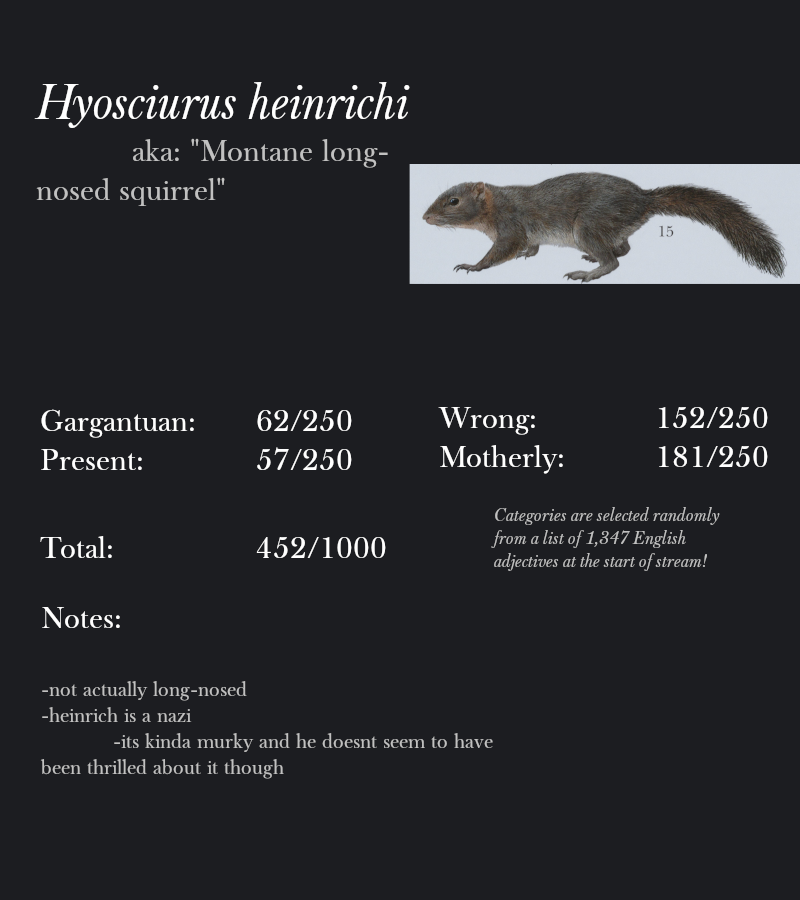 Hyosciurus heinrichi